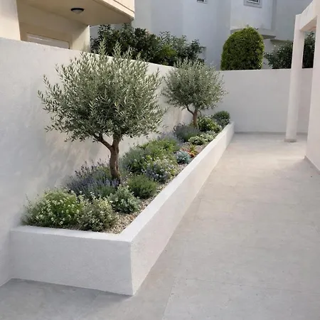 Rhodea Villa *